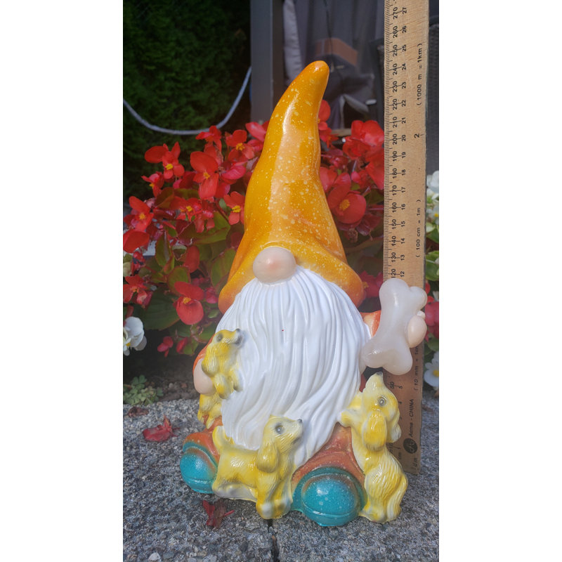 Gnome de jardin Federica avec chien et os illuminé