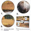Orignal en Alaska, paysage I - animaux, impressions sur toile-259070724-259070751