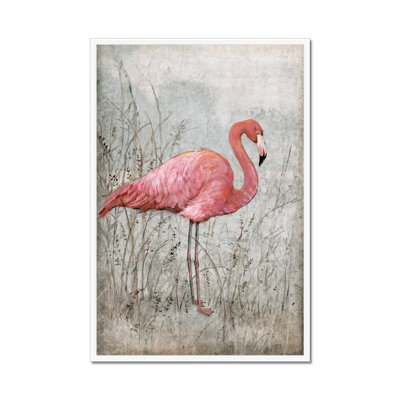 American Flamingo I by Timothy O' Toole - Painting