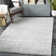 Bjarne Oriental Indoor Rug