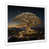 White Single Picture Framed selected