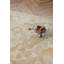 LA Newborough Pale Gold 081606 200X280-86654081