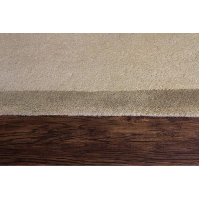 Colburn Wool Oriental Indoor Rug