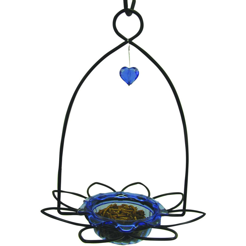 Birds Choice 3 oz. Mangeoire à fleurs Bluebird pour fruits séchés ou vers de farine, bleu