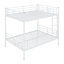 Lit superposé double au-dessus de double Splendora Kids-289834014