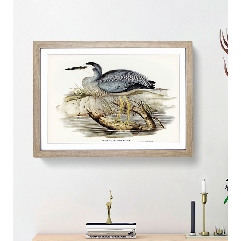 White-Fronted Herons by Elizabeth Gould - Picture Frame Painting Print, Oak Framed, 27cm H x 36cm W x 2cm D