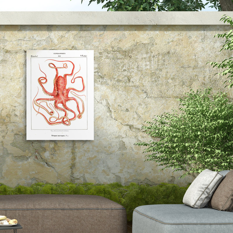 Toile d'extérieur Marcus Jules Octopus 1876, H 14 po x l 19 po