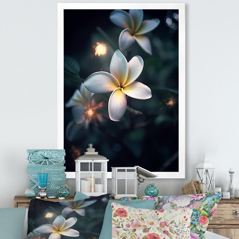 Blanc plumeria symphonie magique II, Cadre simple blanc, H 32 po x l 16 po x P 1 po