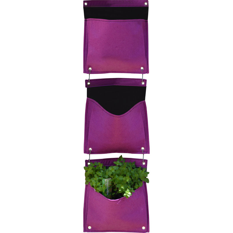 LosPalmos Wall Planter, Purple