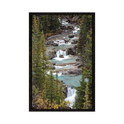 Canada, Alberta. Nigel Creek, Banff National Park. by Judith Zimmerman - Print on Canvas