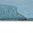 Vandenbosch Hand Tufted Abstract Indoor / Outdoor Rug-768387530