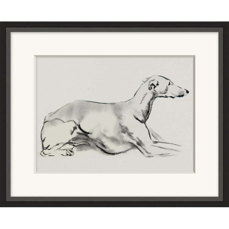 Sampson Print