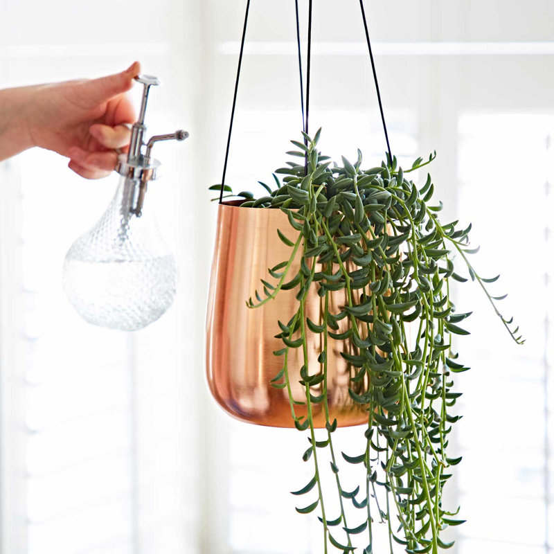Iron Hanging Planter, 15cm H x 16cm W x 16cm D