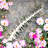 Elim Arrangement