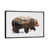 Black Framed is unavailable