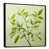 Black Floater Framed