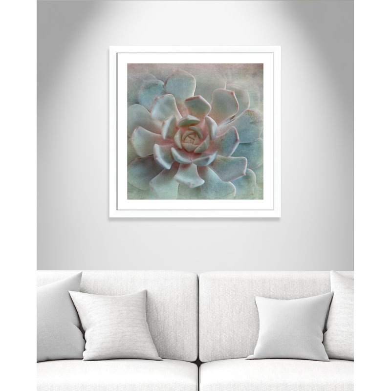 «Flaherty Pastel Succulent II», reproduction de photo encadrée, Blanc mat, H 33,5 po x l 33,5 po x P 1,25 po