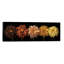 Floral Salute by Assaf Frank - Panoramic Print on Canvas-1461431487-1456794350