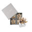 Beachcomber Napkin Rings in a Gift Box