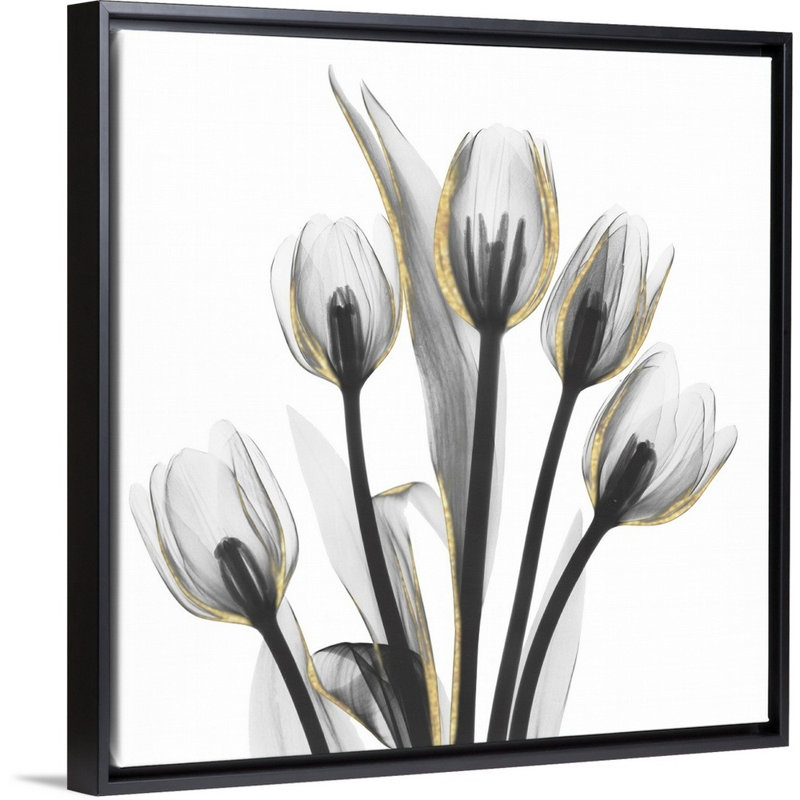 Reproduction d’art sur toile, "Gold embellies tulipes 1" par Albert Koetsier, H 32 po x l 32 po x P 1,75 po, Cadre noir