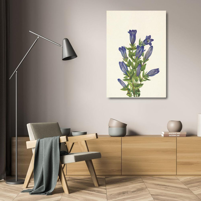 «Ruff Gentian. Gentiana Calycosa» par Mary Vaux Walcott, reproduction d'art sur toile tendue avec châssis, H 24 po x l 17 po