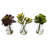 Succulent Arrangements Silk Plant Set