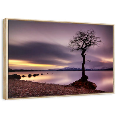 Loch Lomond Tree
