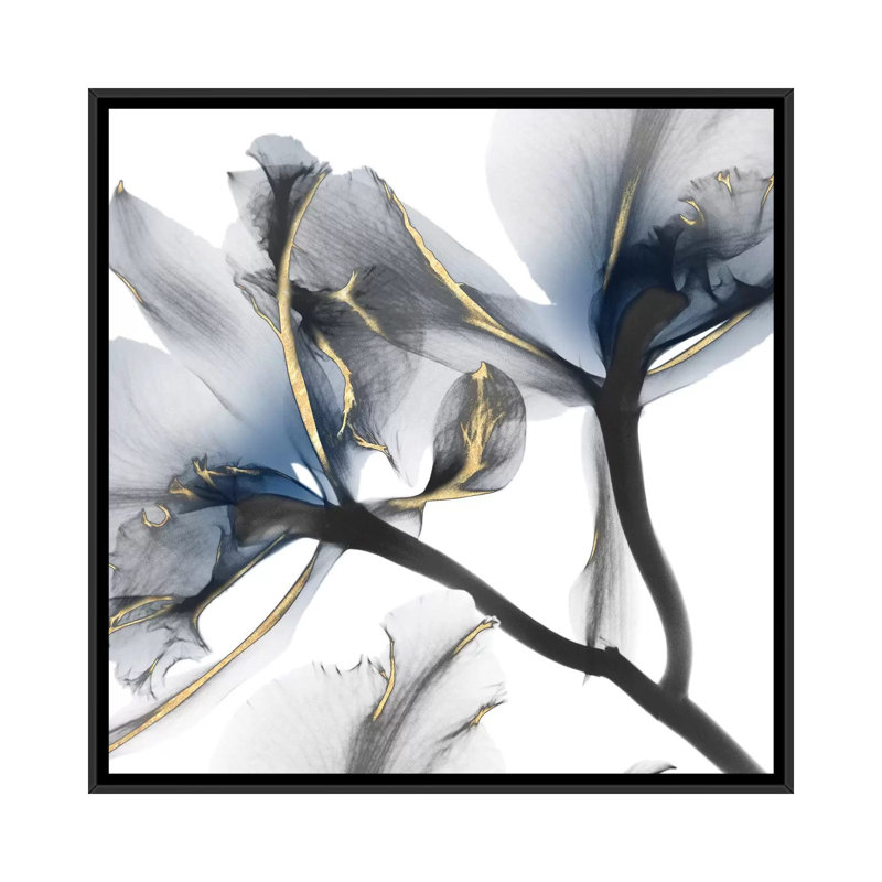«Lustre Cyclamen II», impression sur toile, H 18 po x l 18 po, Toile encadrée, Noir