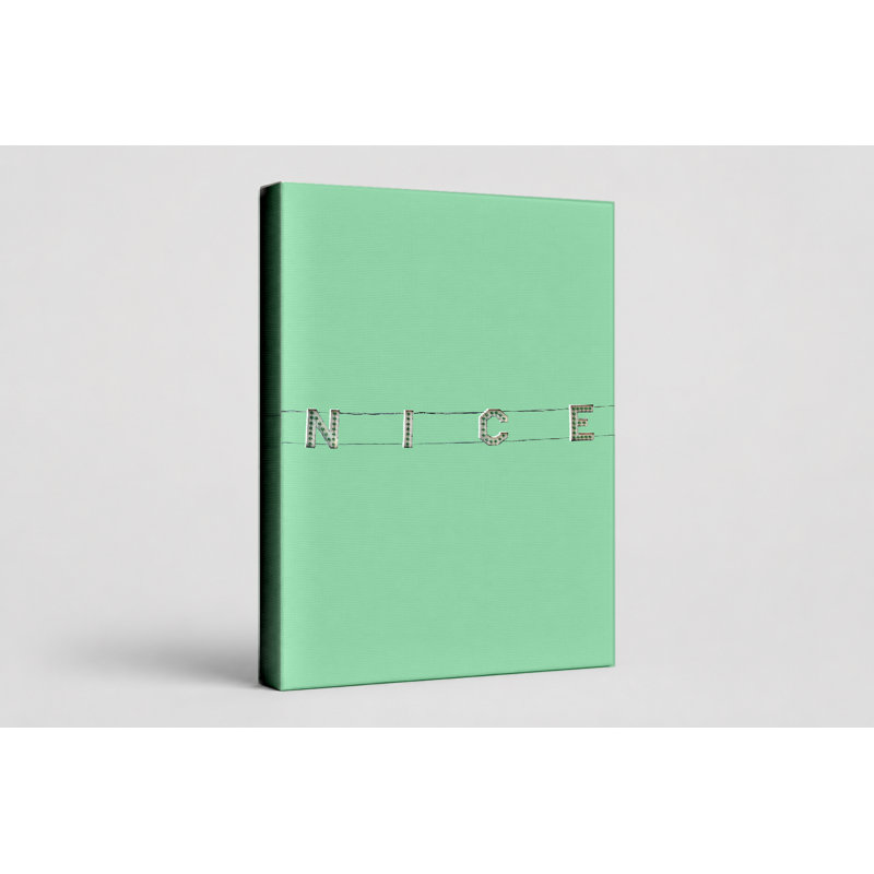 NICE - Portrait, art mural sur toile, L 20 po x H 30 po