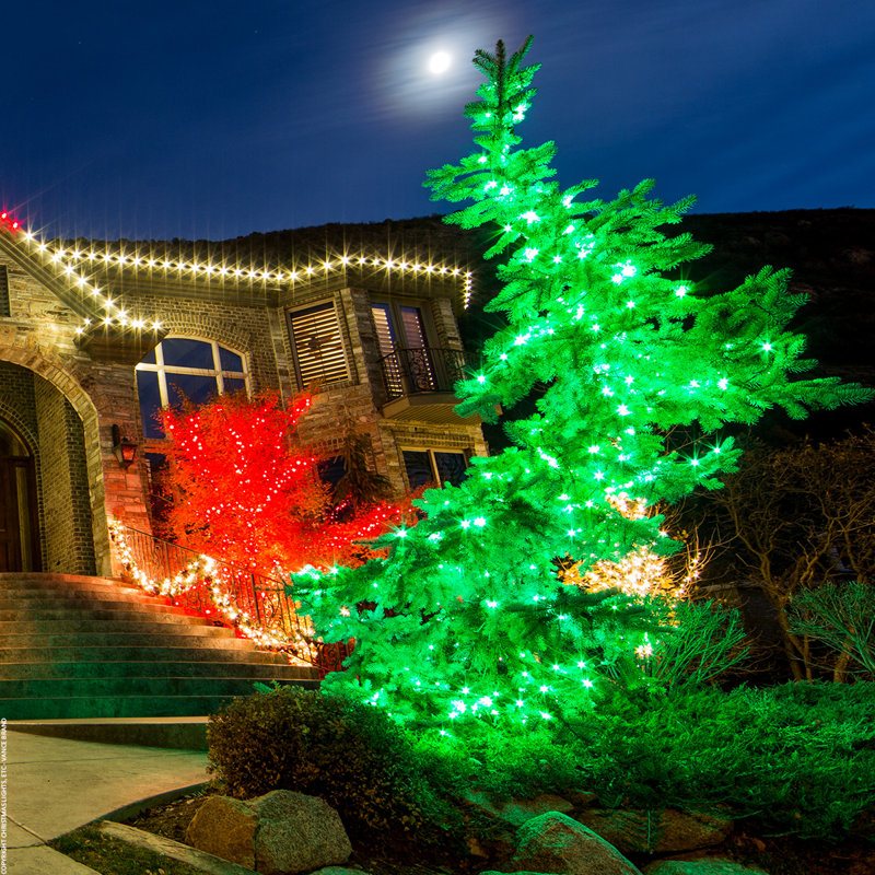 25' 50-Light Shatterproof Wide Angle LED Mini String Lights (End to End Connectable), Green