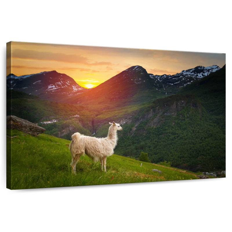 Mountain Llama, 24" H x 36" W