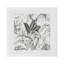 Amazonia Cotton Blend Square Napkins-1758637117