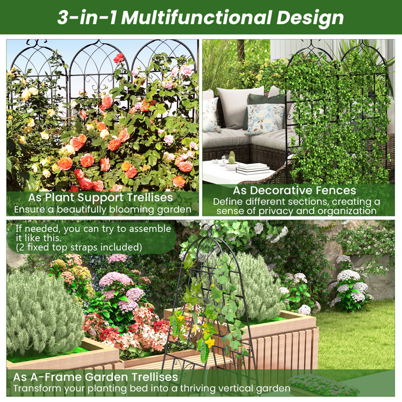 Metal Arched Trellis, 180cm H x 50cm W