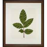 A Little Piece Of Nature IV Print