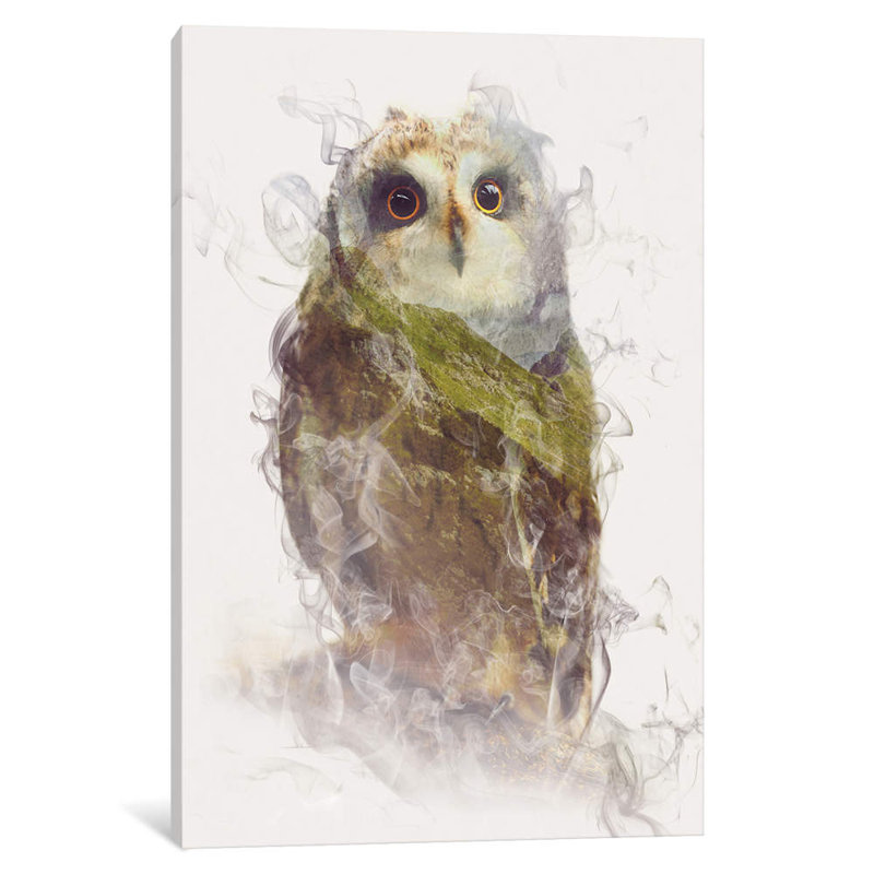 Owl by Daniel Taylor - Print on Canvas, 66.04 cm H x 45.72 cm W x 1.91 cm D, No Frame