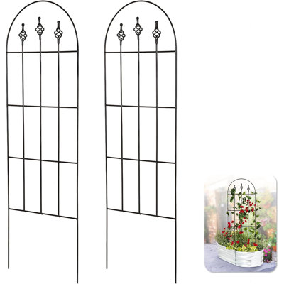 Serafina 48'' H x 16'' W Trellis