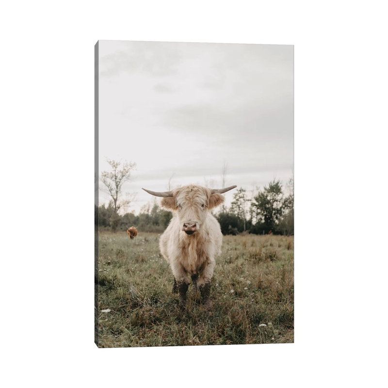 The Highland Cow by Chelsea Victoria - Wrapped Canvas Print, 20.32 cm H x 30.48 cm W