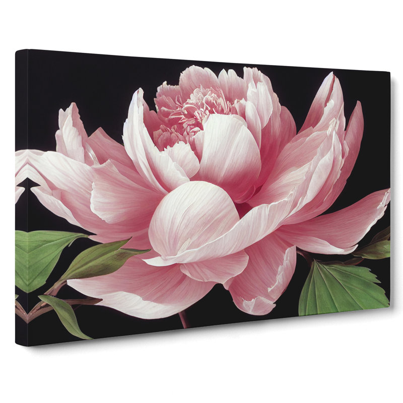 Delicious Peony Flower - Wrapped Canvas, 40cm H x 60cm W x 3cm D