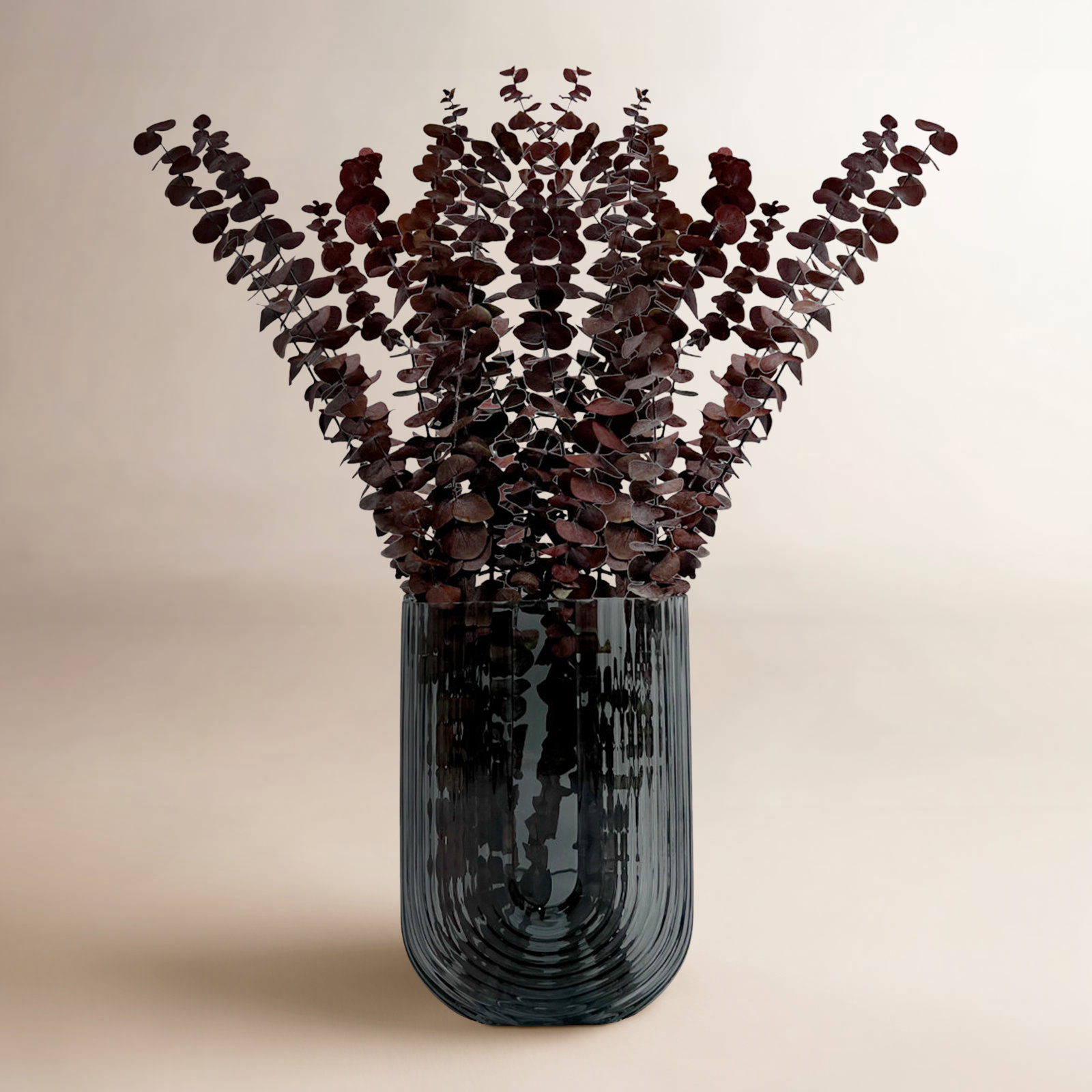 Dried Preserved Baby Eucalyptus Stems, Red