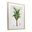 «Palmas Longas Palm Tree», reproduction encadrée sous verre, conception de Val Rhodes-1240803072-1240803073