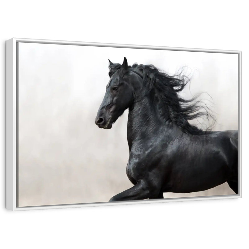 Cheval frison noir, Cadre flottant blanc, 19 po x 13 po