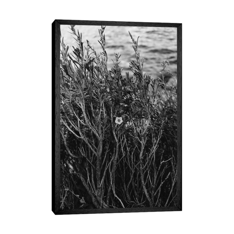 Tenaya Lake, Yosemite National Park II by Bethany Young - Print on Canvas, 101.6cm H x 66.04cm W x 3.81cm D, Black Framed