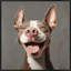 Tongue Out, Jokes In 4 - Framed-747233933