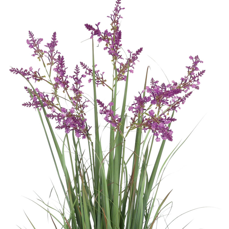 Lavender Drop-In Plant