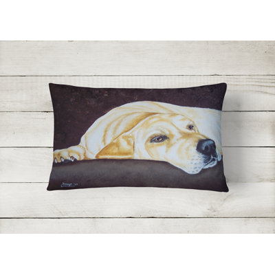 Outdoor Throw Pillow