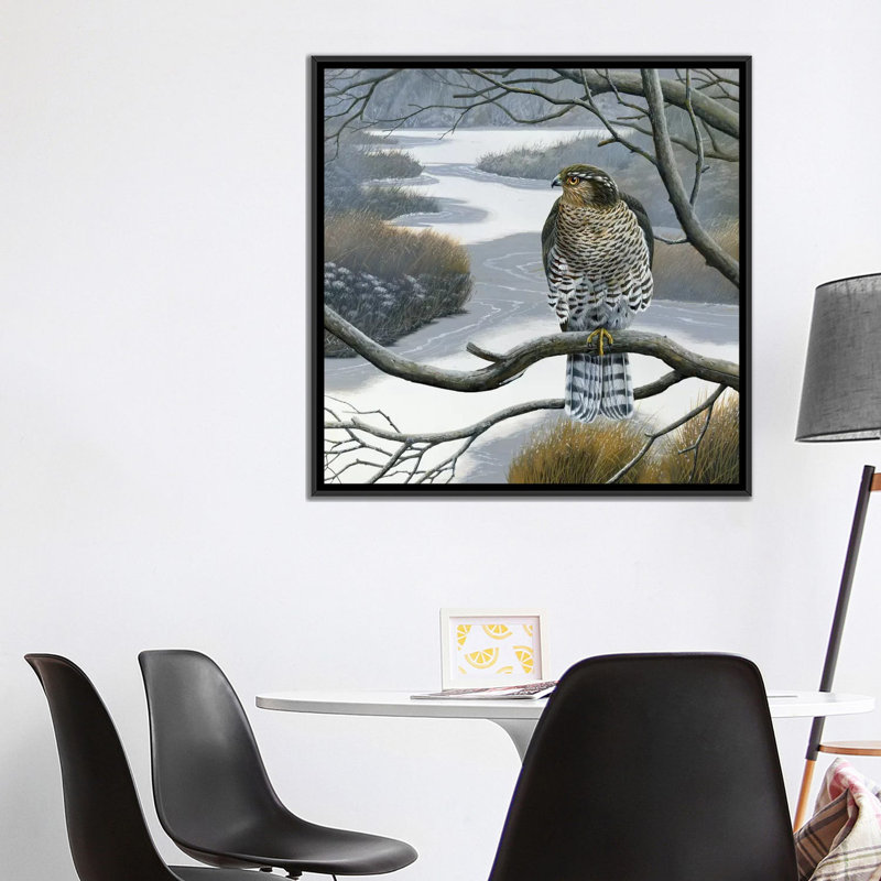 «Hawk in a Tree», impression sur toile, H 18 po x l 18 po x P 1,5 po, Toile avec cadre noir, Pas de tapis