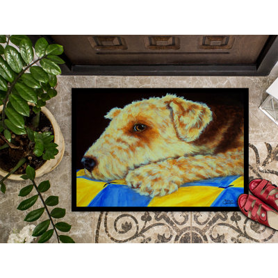 Non-Slip Outdoor Doormat
