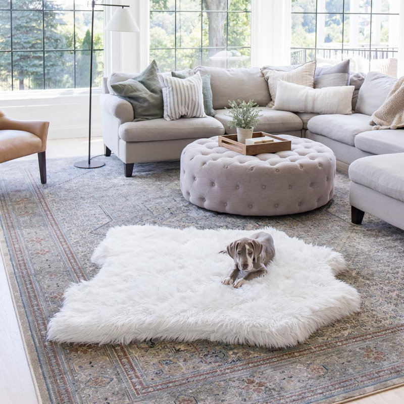  Tapis classique Puprug, H 2 po x l 35 po x P 40 po, Ours polaire