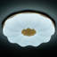Acrylic Semi Flush Mount