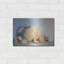 «White Study» par Cecile Baird-479401127